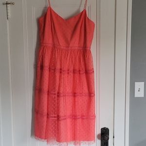 Adrianna Papell Pink/Coral Polka Dot dress